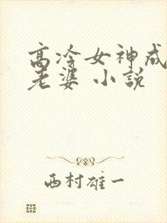 高冷女神成了我老婆 小说