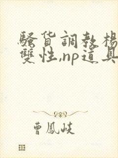 骚货调教杨洛(双性,np道具