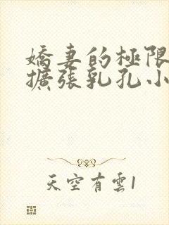 娇妻的极限凌虐扩张乳孔小说