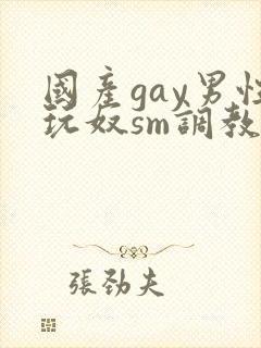 国产gay男性玩奴sm调教
