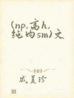 (np,高h,纯肉sm)文