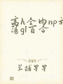 高h全肉np放荡gl百合封面