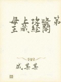 母上攻略第一版主藏经阁