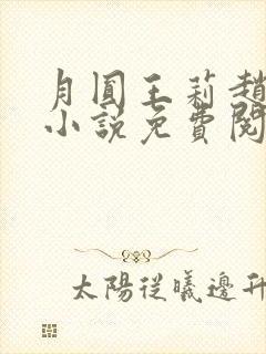 月圆王莉赵先生小说免费阅读封面