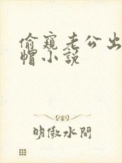 偷窥老公出轨绿帽小说