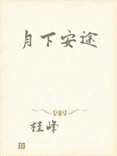 月下安途