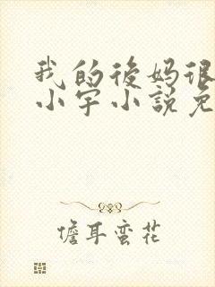 我的后妈很漂亮小宇小说免费阅读封面