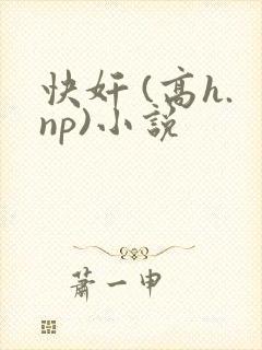 快奸 (高h.np)小说