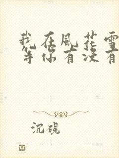 我在风花雪月里等你有没有续集