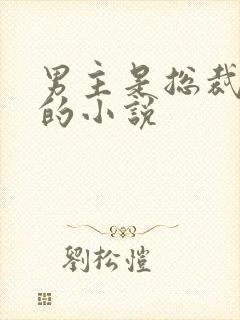 男主是总裁姓沈的小说封面