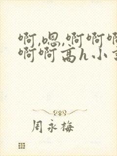 啊,嗯,啊啊啊啊啊高h小说