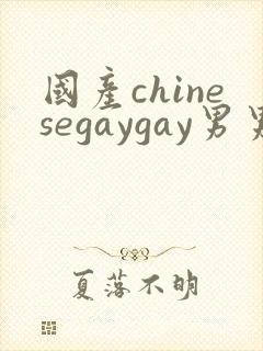 国产chinesegaygay男男网站