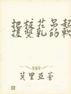 把校花吊起来揉搓双乳的软件