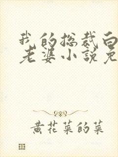 我的总裁白富美老婆小说免费在线听