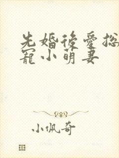 先婚后爱总裁蜜宠小萌妻