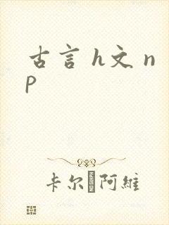 古言 h文 np封面