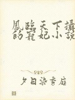 凤临天下摄政王的宠妃小说