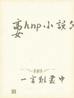 高hnp小说父女