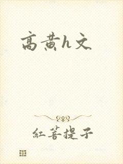 高黄h文