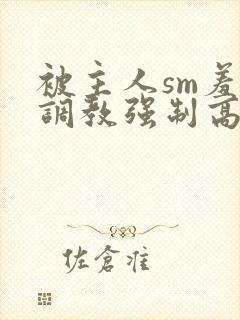 被主人sm羞辱调教强制高潮