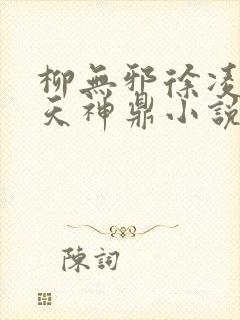 柳无邪徐凌雪吞天神鼎小说在线阅读