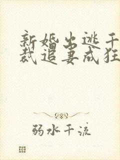 新婚出逃千亿总裁追妻成狂免费阅读封面