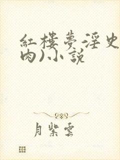 红楼梦淫史(全肉)小说封面