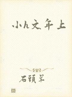 小h文年上