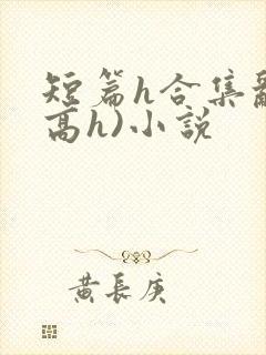 短篇h合集乱(高h)小说