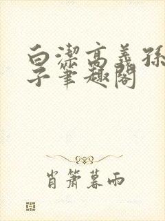 白洁高义孙倩东子笔趣阁封面