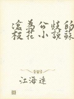 沧为公歧的清纯校花小说苏封面