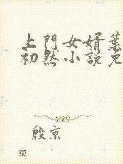 上门女婿叶辰萧初然小说免费阅读无弹窗