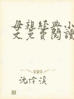 母亲经典小说全文免费阅读封面