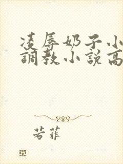 凌辱奶子小说上调教小说高h