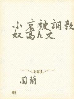 小哀被调教成肉奴高h文