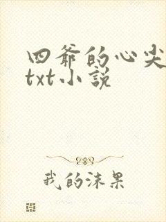 四爷的心尖宠妃txt小说封面