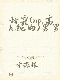 甜宠(np,高h,纯肉)男男