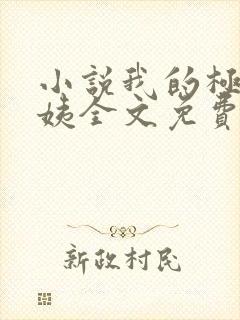 小说我的极品小姨全文免费阅读