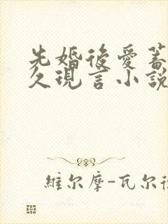 先婚后爱蓄谋已久现言小说