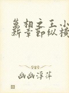 万相之王小说最新章节纵横全文阅读封面