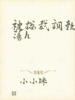 被总裁调教成浪荡h