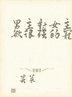 男主对女主占有欲很强的宠文