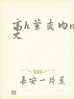 高h荤爽肉np文