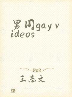 男同gay videos封面