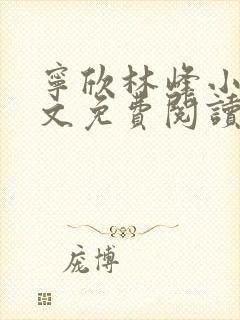 宁欣林峰小说全文免费阅读无弹窗