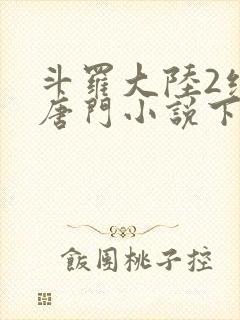 斗罗大陆2绝世唐门小说下载