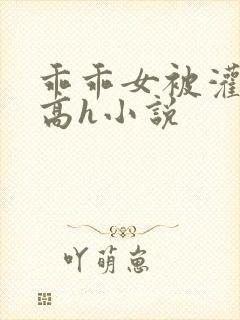 乖乖女被灌满精高h小说封面