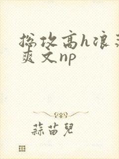 总攻高h浪荡肉爽文np