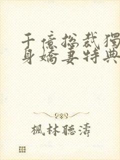 千亿总裁独宠替身娇妻特典封面