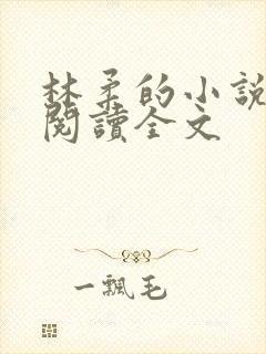 林柔的小说在线阅读全文封面